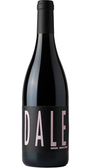 Dale Pink 2023