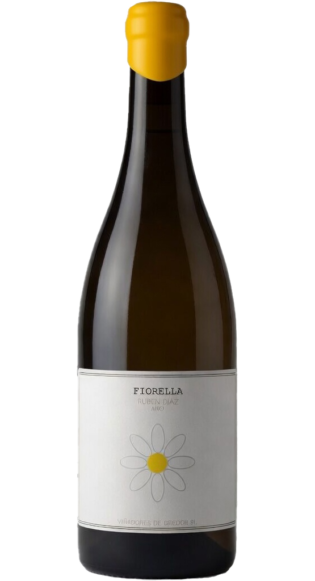 Fiorella 2024